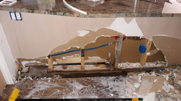 Best Sewage cleanup and water damage restoration  in Walce Ridge, LA