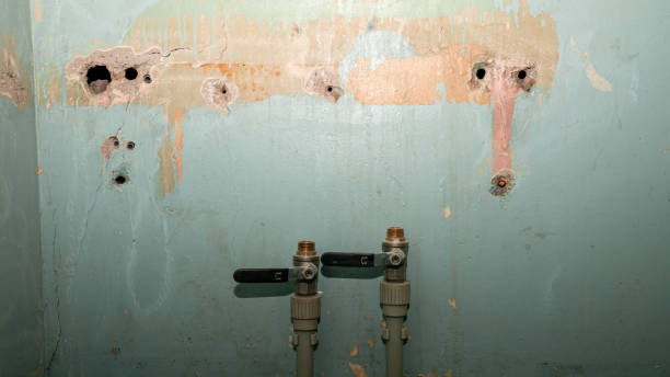 Professional Water damage restoration in Wallace Ridge, LA