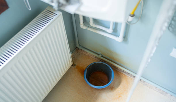 Water damage restoration mold remediation in Wallace Ridge, LA